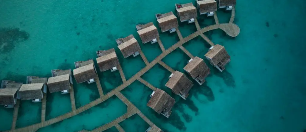 Hard Rock Hotel beachfront resort with palm trees and ocean view